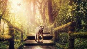 Maybe you would like to learn more about one of these? 7 Arti Mimpi Bertemu Harimau Akan Mengalami Sakit Keras Hingga Mendapatkan Rezeki Yang Tak Terduga Tribun Bali