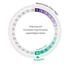 Der rechner ermittelt, wann die fruchtbaren tage zu erwarten sind. Fruchtbare Tage Und Eisprung Berechnen 24schwanger De