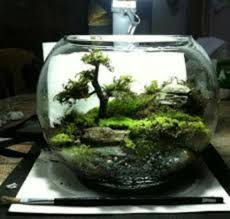 40 Stunning Diy Terrariums Design Ideas Http Calviendecor Info 40 Stunning Diy Terrariums Design Ideas Terrarium Succulent Terrarium Diy Moss Terrarium