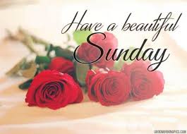 We did not find results for: Have A Beautiful Sunday Goodmorningpics Com