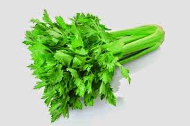 Fakta di balik manfaat jus seledri. Khasiat Daun Seledri Istana Tanaman