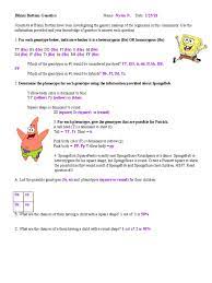 Create a punnett square to show the possibilities that would result if spongebob and spongesusie had children. Bikini Bottom Genetics Dominance Genetics Zygosity