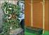 Wood Patio Planters
