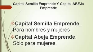 El capital abeja emprende está dirigido a personas naturales mayores de 18 años, de género femenino, sin inicio de actividades en primera categoría ante el servicio de impuestos internos (sii). Emprendimiento Y Empleabilidad Profesora Ester Rojas Redes De