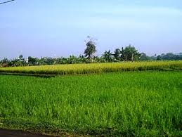 Maybe you would like to learn more about one of these? Irigasi Wikipedia Bahasa Indonesia Ensiklopedia Bebas