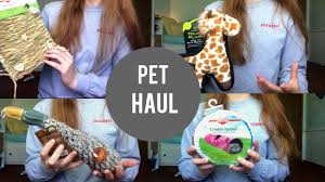 Quail eggs are incredibly nutritious, i raised them to cure my husband's eczema and hay fever, which they did really quickly but the quail need to be outside and raised organically for the eggs to be that good. Diy Hay Rack Box Super Cheap Youtube