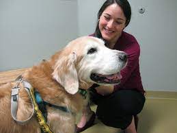 8512 cooper creek blvd, university park, fl 34201. Us Sales Of Fresh Pet Food Are Soaring News Sarasota Herald Tribune Sarasota Fl