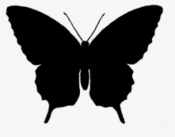 The butterfly hovered in the air. Butterfly Silhouette Png Transparent Butterfly Silhouette Png Image Free Download Pngkey