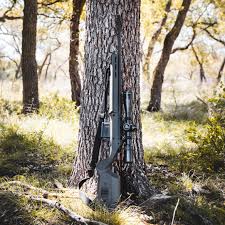 Egw remington 783 short action picatinny rail scope mount. Hunter American Stock Ruger American Short Action