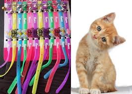Cingirakli Silikon Kedi Tasmasi Bitenekadar Com Alisveris Firsatlarinda
