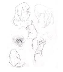 Dog pose reference by lessthanthree123 on deviantart. Camp Draw Sketching Animals From Life Expedition Art