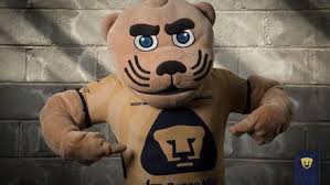 19 pesos con 92 centavos $ 19. Pumas Lanza Su Tercer Uniforme Para El Guard1anes 2021