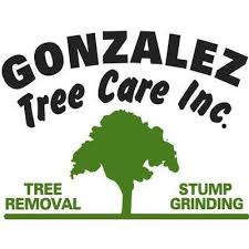 Maybe you would like to learn more about one of these? The 10 Best Stump Grinding Services In Chapel Hill Nc 2021