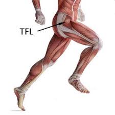 Ever Find Yourself Getting An Odd Pinchy Feeling In The Front Of Your Hip At The Bottom Of A Squat Or A Clean Th Tensor Fasciae Latae Hip Injuries Hip Flexor