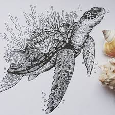 Sea Turtle And Coral Black And White Animal Ink Drawings Click The Image To See More Of Weronika Kolinska S W Coral Drawing Turtle Drawing Sea Turtle Drawing