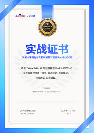 获得了一个星河会员月卡激活码，怎么玩？（百度飞桨） - 茶馆 ...