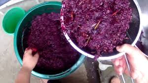 как сделать вино из винограда молдова в домашних условиях видео Vino Iz Vinograda Moldova Youtube