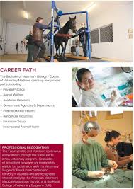 Then pursuing a veterinary course can be the most suitable option! Bachelor Of Veterinary Biology Doctor Of Veterinary Pdf Free Download