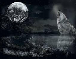 Photo of wolves howling at the moon for fans of wolves 31727629. Howling Wolves Gifs 70 Animated Images For Free