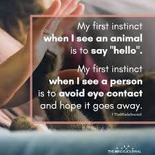 My First Instinct When I See An Animal Is To Say Hello Sayings Say Hello Memes Quotes