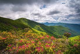 At our partner farm, we incorporate biodynamic practices and regenerative agriculture. Asheville Nc Blue Ridge Parkway Spring Flowers North Carolina Greeting Card For Sale By Dave Allen
