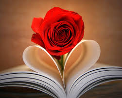 Rose Book Heart Wallpaper 40898 Love Rose Images Rose Images Love Rose