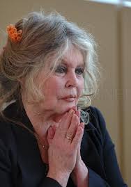 Bridget bardot brigitte bardot style brigitte bardot hairstyle bardot bangs pelo vintage look retro my hairstyle french actress looks vintage. Brigitte Bardot Then And Now Celebrities