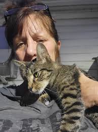 PLEASE be careful if someone named TAM TRAN messages you and offers to take  your cat. He messaged me about Sugar and every time I post or people post  giving away adopting