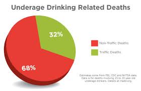 Drunk Driving Pie Chart Www Bedowntowndaytona Com