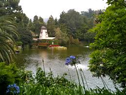 Image result for srf lake shrine