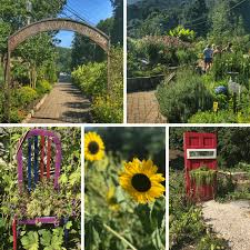 Lake lure flowering bridge hours. How To Make The Most Of Your Time At Lake Lure Adventure Mom