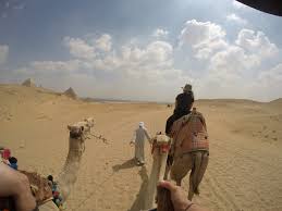 How many camel is the ultimate camel calculator. How Much Does Travel To Egypt Cost 8 Days As A Backpacker
