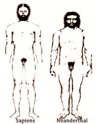 Con questa campagna di scavo abbiamo trovato numerosi individui, una scoperta che gli scavi hanno restituito, oltre ai resti degli uomini di neanderthal, migliaia di reperti ossei animali: Anche L Uomo Di Neanderthal Prendeva L Aspirina Alimentazione E Antidolorifici Storia Controstoria