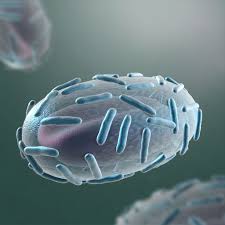 Pin On Smallpox 3d Model
