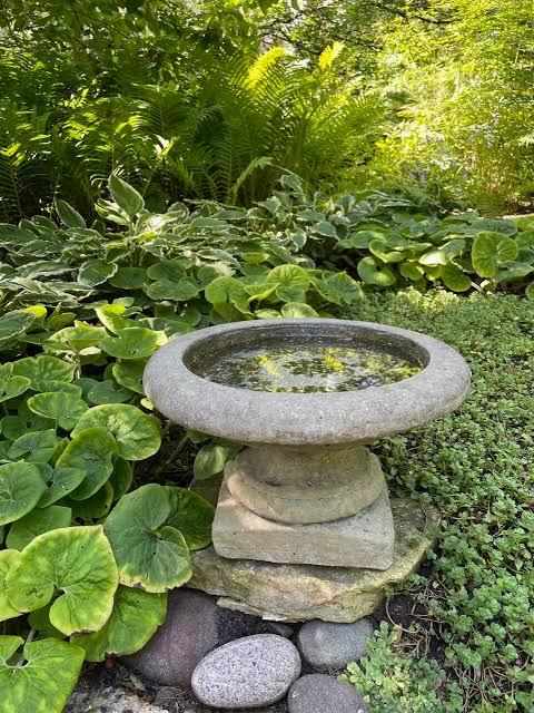 Bird bath