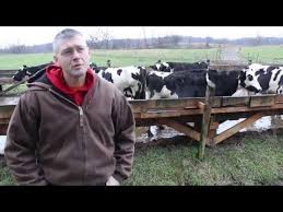 Sharp Family Dairy Dairy Farmer Fairfield County Farm