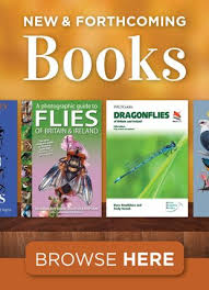 Image result for Nesogenaceae