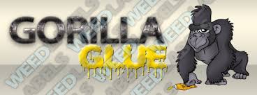 Gorilla Glue No Warning Label Weedlabels