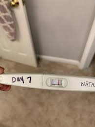 Pregnancy Test Results After A Frozen Embryo Transfer Natalist
