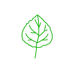 葉っぱの形 Umare Atelier