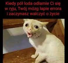 Wychowywał się wraz z młodszą siostrą magdaleną. Pin By Urszula Krawczyk On Memy Very Funny Memes Funny Memes Stupid Funny Memes