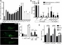 Install pixel experience on redmi 4x. Glucocorticoids Promote Von Hippel Lindau Degradation And Hif 1a Stabilization Pnas
