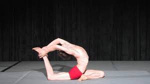 9th annual bishnu charan ghosh cup: Kasper Van Den Wijngaard Yoga Asana Demonstration Asana Yoga Instructions Yoga Asanas