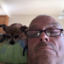 TOP 10 BEST Rent a Dog in Santa Monica, CA