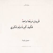شعر جميل بثينة فكيف كبرت ولم تكبري عالم الأدب calligraphy arabic calligraphy arabic