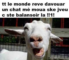 Today the human tomorrow the world funny goat meme photo. Goat Memes Home Facebook
