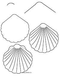 How to draw a sea shell. 13 Best Simple Shell Drawing Ideas Shell Drawing Sea Shells Shells