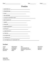 Word Scramble Covering The Terminology That Will Be Used When Introducing Protists To Biology Ii Students There Ar Vocabulary Words Science Student Vocabulary
