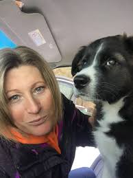 Hi welcome, can we see you Border Collie? Please also include name, so that  we can call them 😍🤩 Rose Barbosa, Tamlyn Dell, Benjamin Griffiths, Vilmis  Navis, Natalia Maszkowska, Melissa Ann Buffington,