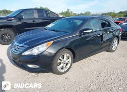 Image result for Royal Blue 2011 Sonata